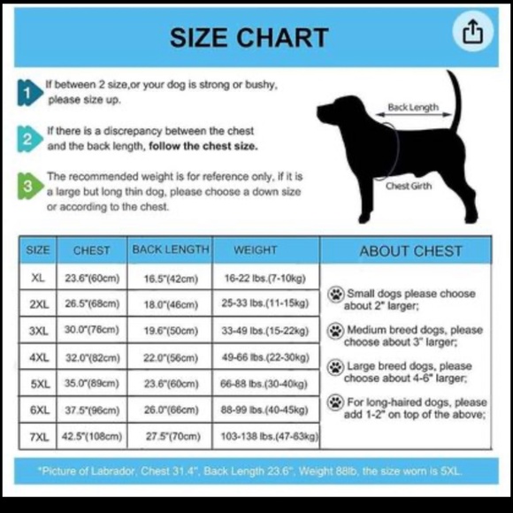 Recovery dog suit - Picture 4 of 4